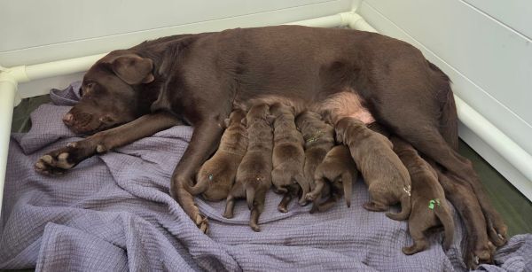 whatsapp-image-2026-03-05-at-093157-2